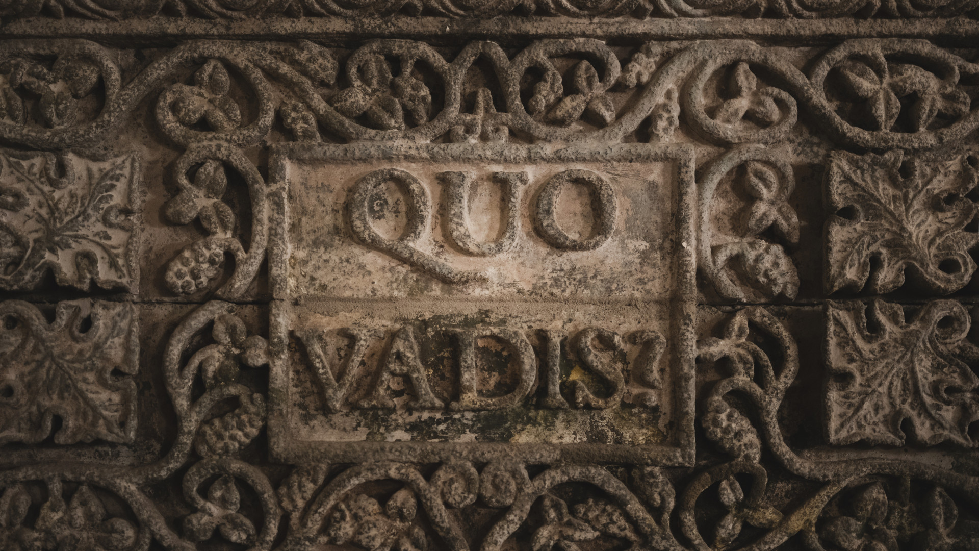 Kitaplar & Alıntılar