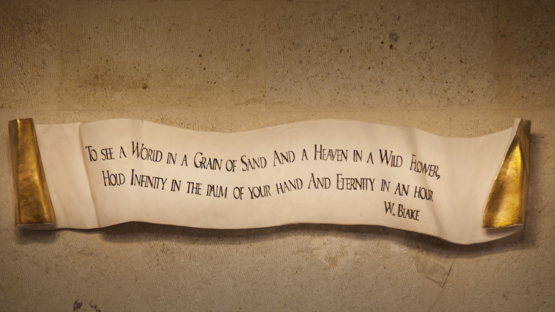 Kitaplar & Alıntılar